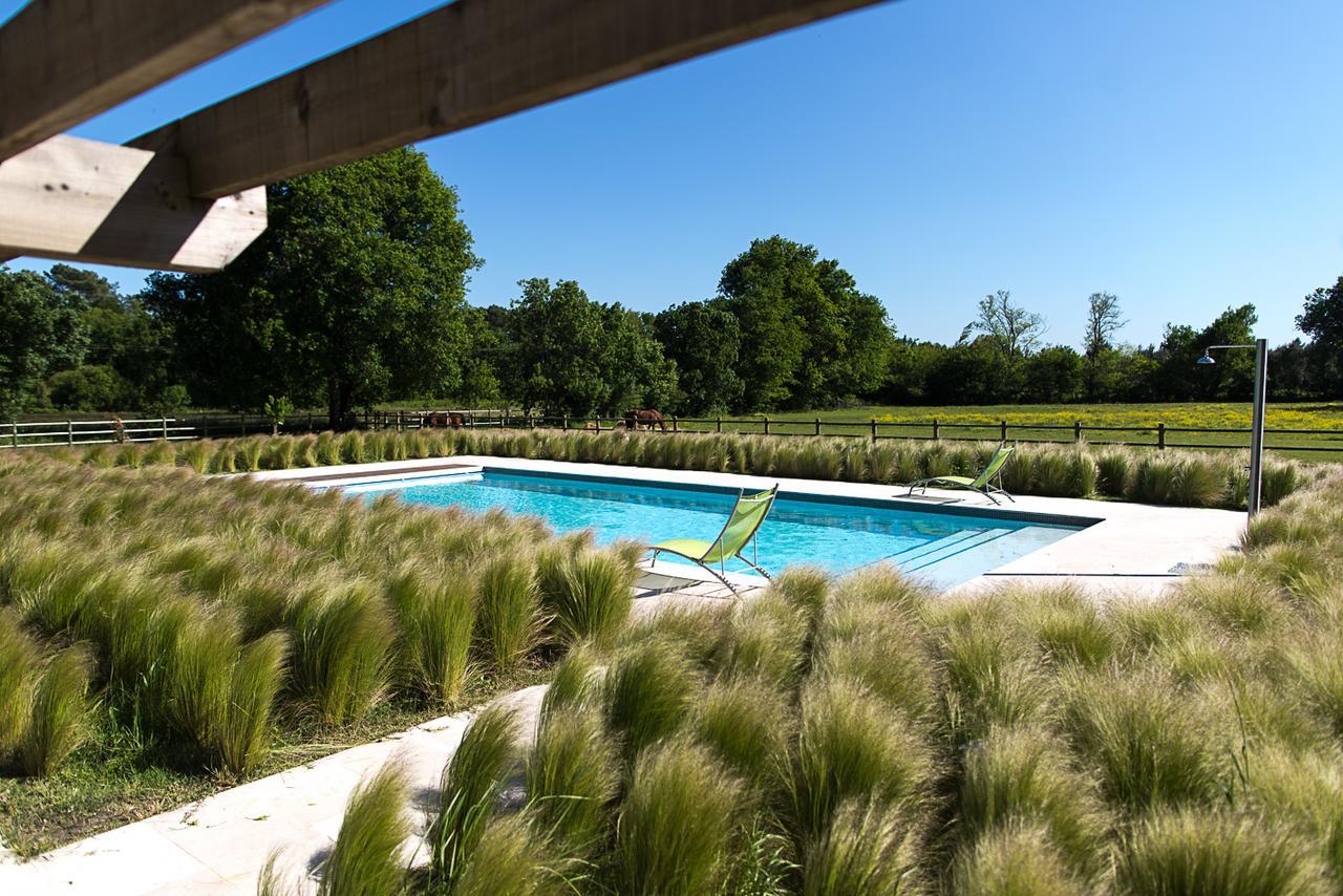 Les Cinq Sens Du Chateau Mayne Lalande Hotel Castelnau-de-Médoc Esterno foto